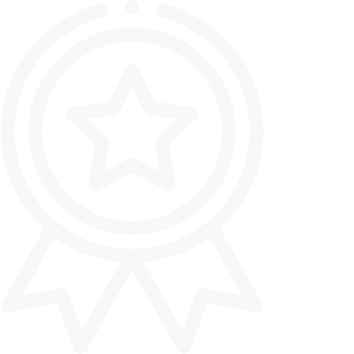 medal certificate icon